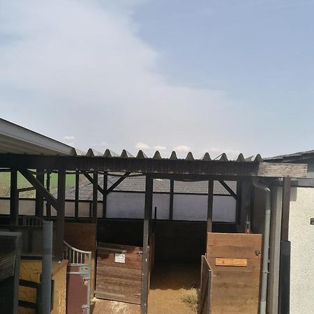 Schoenes Appartement " Die Ponybude" Auf Unserem Reiterhof Birkenbeul Esterno foto