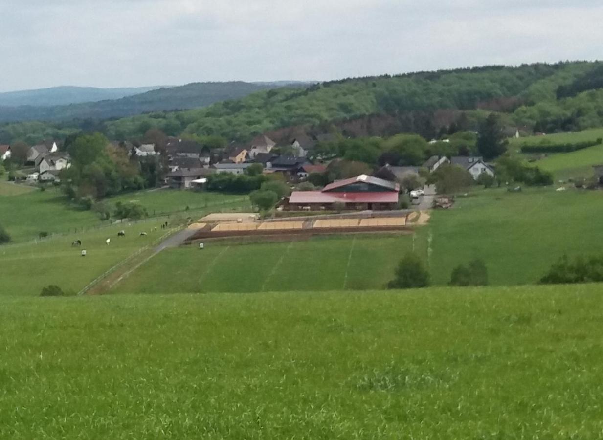 Schoenes Appartement " Die Ponybude" Auf Unserem Reiterhof Birkenbeul Esterno foto