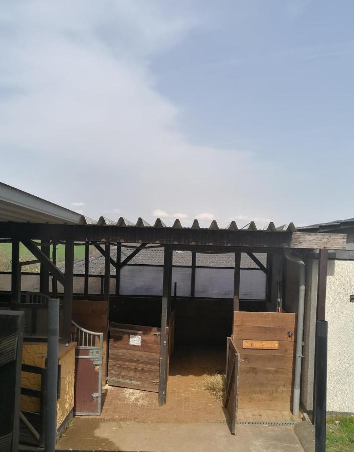Schoenes Appartement " Die Ponybude" Auf Unserem Reiterhof Birkenbeul Esterno foto